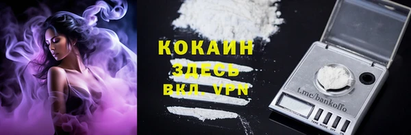 соль ск Абаза
