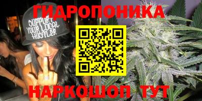 прущая мука Краснознаменск