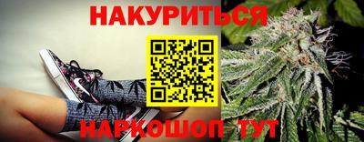 гидра Краснокаменск