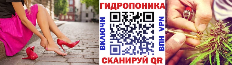 Шишки марихуана индика OMG вход Хасавюрт